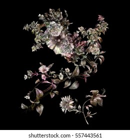 Botany Flower Paintings With Black Background Hd Stock Images Shutterstock
