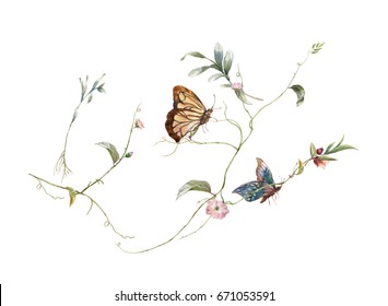 Watercolor Painting Of Leaves And Flower,Butterfly On White Background 