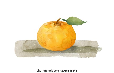 Watercolor Painting Of A Mandarin Orange