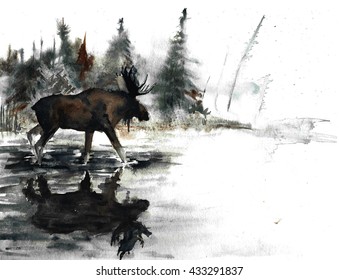 Watercolor Painting Moose