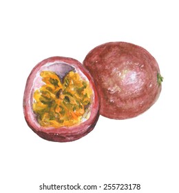 Watercolor Painting Passionfruit Illustration