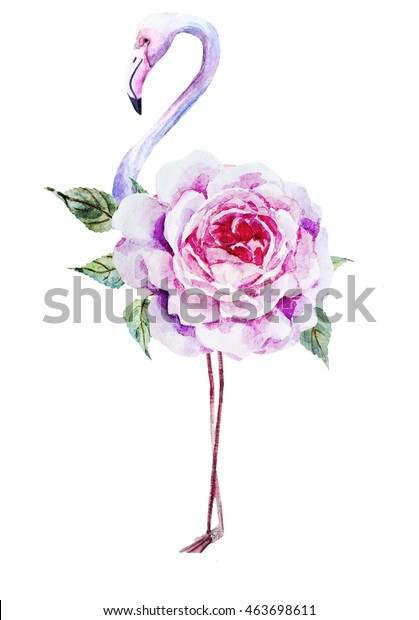 水彩画ピンクのフラミンゴとバラ 珍しい明るい印刷物 花 イギリスのバラ のイラスト素材