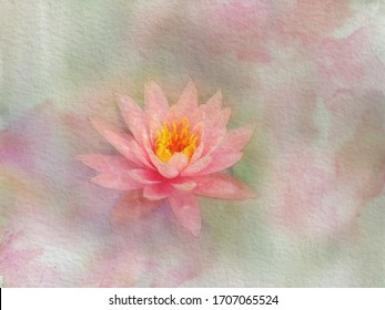 watercolor painting pink water lily  lotus : Illustration