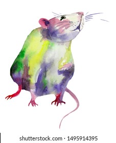 Watercolor painting rat for your design