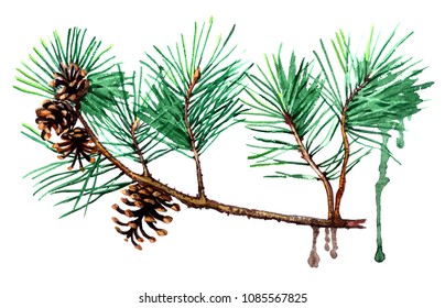 Hand Drawn Pine Tree Branch Cones Stock Vector (Royalty Free) 1085567828