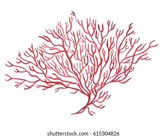 WAtercolor painting red corals. Underwater life illustration