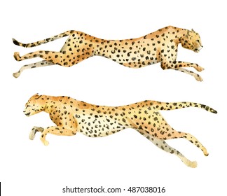 Watercolor Painting A Running Leopard, Leopard In Flight, Isolated Object,