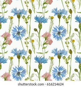 Watercolor painting seamless pattern and blue cornflowers   sweet pea  Summer vintage background