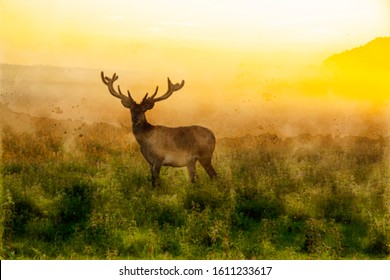 Watercolor Painting Of A Stag Deer With Antlers Standing In Scenic Nature In Foggy Morning Or Evening Light