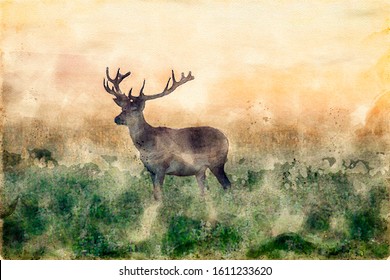 Watercolor Painting Of A Stag Deer With Antlers Standing In Scenic Nature