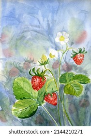 Watercolor Painting Strawberry Bush In The Vegetable Garden