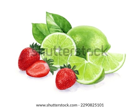 Watercolor painting of strawberry margarita coctail ingredients composition with shadows isolated on white background, closeup, botanical illustration.