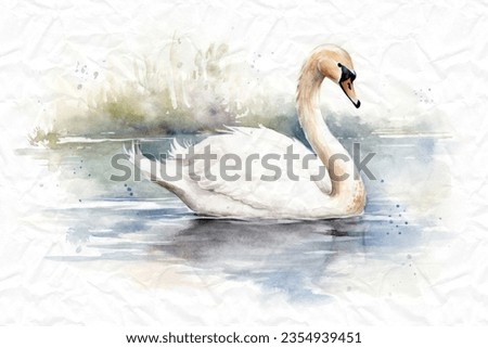 Watercolor painting of a swan on a white background