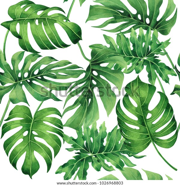 熱帯モンステラ ヤシの葉 緑の葉のシームレスなパターン背景に水彩画 壁紙用の熱帯風の異国風の葉版 繊維 ハワイアロハジャングル風 のイラスト素材