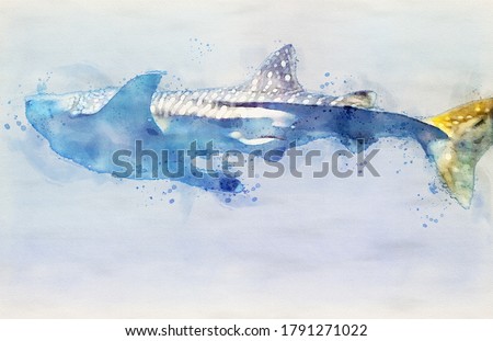 Watercolor Painting of Whale Shark