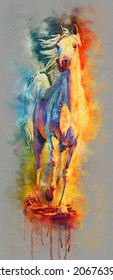 Watercolor painting. A white purebred Arab horse running on the seashore
