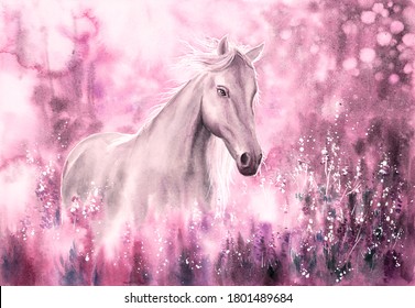 Watercolor Painting - Wild Horse