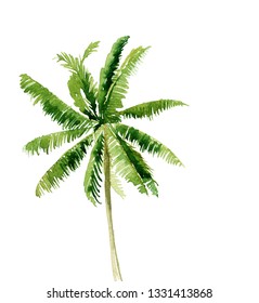 Similar Images, Stock Photos & Vectors of Green palm on a white