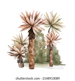 Watercolor Palm Trees, 
Jungle, Oasis, Summer, Trees,vegetation, Sunny Day, Holidays, Desert Watercolor Set Clipart Isolated On White Background