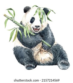 Watercolor Panda With Bamboo Paint For Baby Shower, POD, Mother's Day, Panda Digital File Panda Watercolor Layer Path, Clipping Path Isolated On White Background.