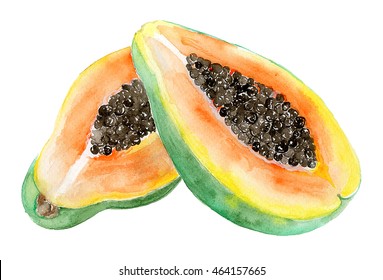Watercolor Papaya