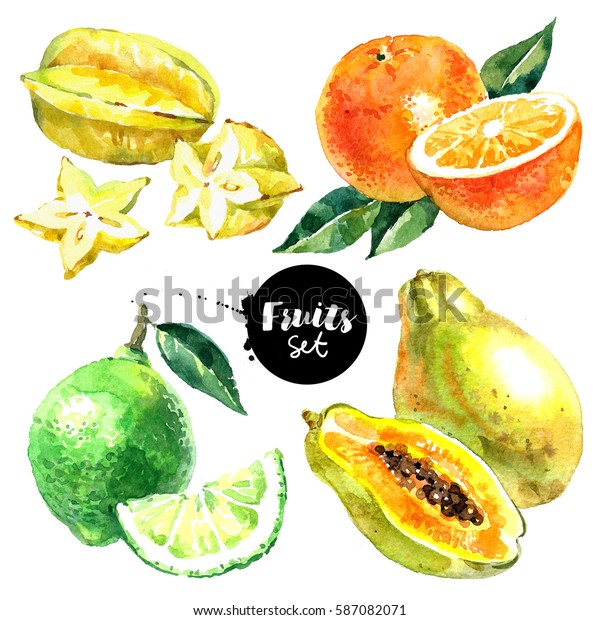 水彩のパパイヤ オレンジ ライム カランボラの果物 野菜セット 白い背景に自然の生鮮エコフードイラストを描く のイラスト素材