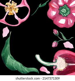 Watercolor Paprika Banner, Pepper Clipart For Spring Postcard. Social Media Design, Kitchen Garden. Cookbook Art, Botanical Illustration. Aquarelle Raster Illustration Isolated On Black Background.