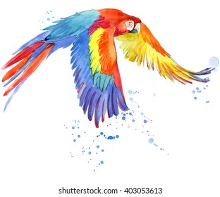 Watercolor Parrot Bird Illustration.