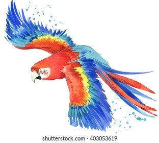 Watercolor Parrot Bird Illustration.