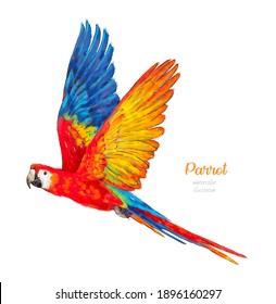 Aquarellpapagei. Tropischer Vogel. Botanische, handgezeichnete Illustration in Aquarellfarben. 