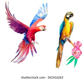 Watercolor Parrots