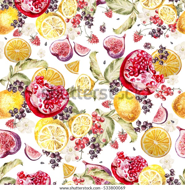 ベリー カーラント ブラックベリー ラズベリーの水彩柄 熱帯のフルーツレモン オレンジ ザクロ イラスト のイラスト素材
