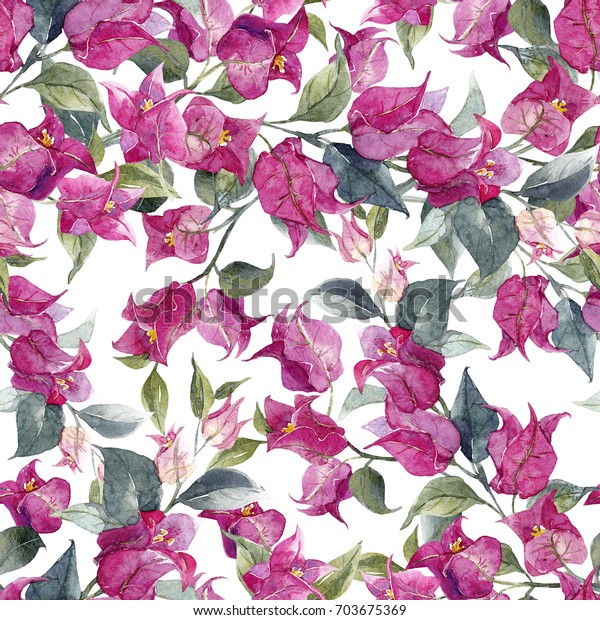 水彩图案搭配九重葛花 热带紫色花库存插图