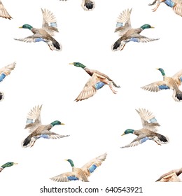 Watercolor Pattern With Flying Ducks