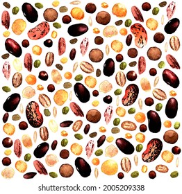 Watercolor pattern of frequently arranged edible seeds, red beans, oatmeal, beans, lentils, chickpeas and rice on a white background for a vegan design template. watercolour vegemite seeds