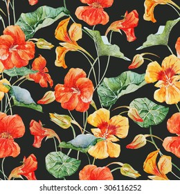 Watercolor Pattern Nasturtium, Bright Orange Flower Pattern  Dark Background