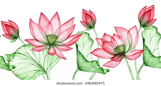 watercolor pattern, seamless border of transparent lotus flowers. frame of lotus flowers and leaves - Powered by Shutterstock