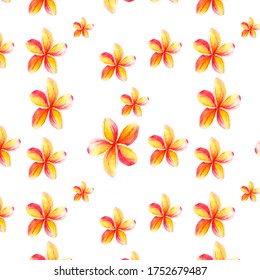 Watercolor pattern with tropical plumeria flower, suitable for packaging paper design, salon price list styling and web design - Powered by Shutterstock