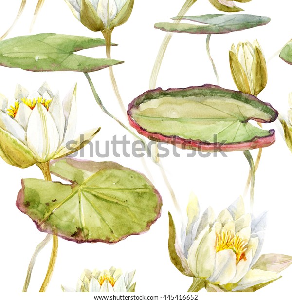 白蓮の花の水彩模様 植物イラスト 大緑の葉 のイラスト素材 白蓮の花の水彩模様 植物イラスト 大緑の葉 のイラスト素材