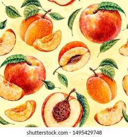 Watercolor Peach And Apricot. Botanical Watercolor Hand Drawn Illustration. Peach. Apricot. Watercolor Fruits. Seamless Pattern