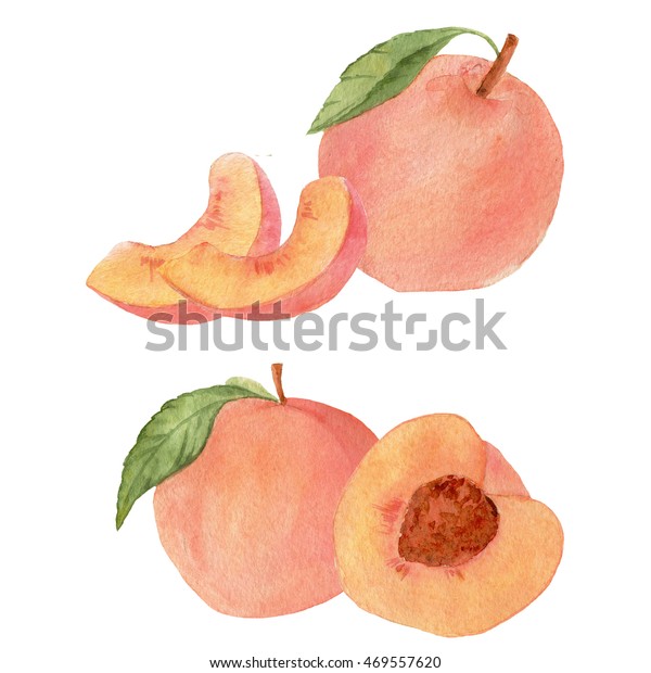 水彩桃の半分と半分 果実と葉のイラスト のイラスト素材