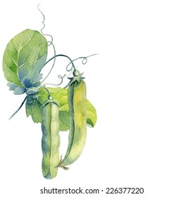 Watercolor Peas