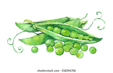 Watercolor Peas.