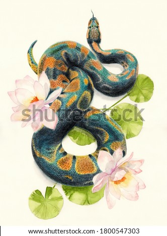 Watercolor pencil illustration of a green snake among flowers of lotus
