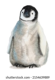 Watercolor Penguin Isolated On White Background. Hand Drawn Clipart With Illustration. Baby Penguin Polar Animal Illustration. Cute Little Penguin In Vintage Style. Realistic Wild Animal