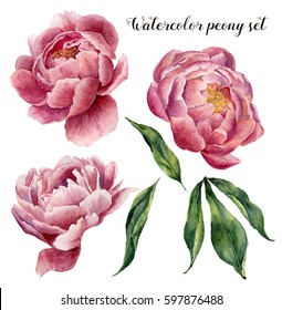Watercolor peony set. Vintage floral elements with peony flowers and leaves isolated on white background. Hand drawn botanical illustration for design.