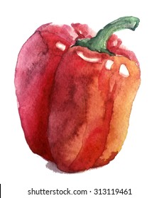 Watercolor Pepper On A White Background