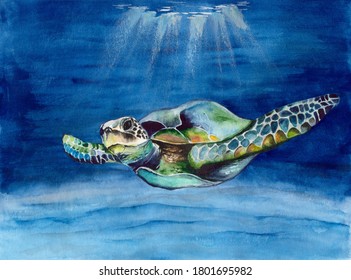 Watercolor Picture Of A Sea Turtle In Blue Water With Rays Of Light
