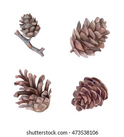 Watercolor Pine Cones Set