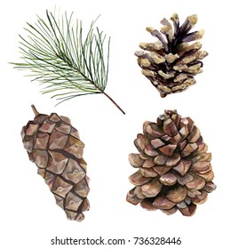 Watercolor Pine Cones Set. Hand Painted Pine Branch With Cones Isolated On White Background. Botanical Clip Art For Design Or Print. Holiday Plant